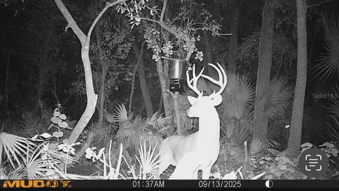 GILLETTE ROAD, Zolfo Springs, FL 33890