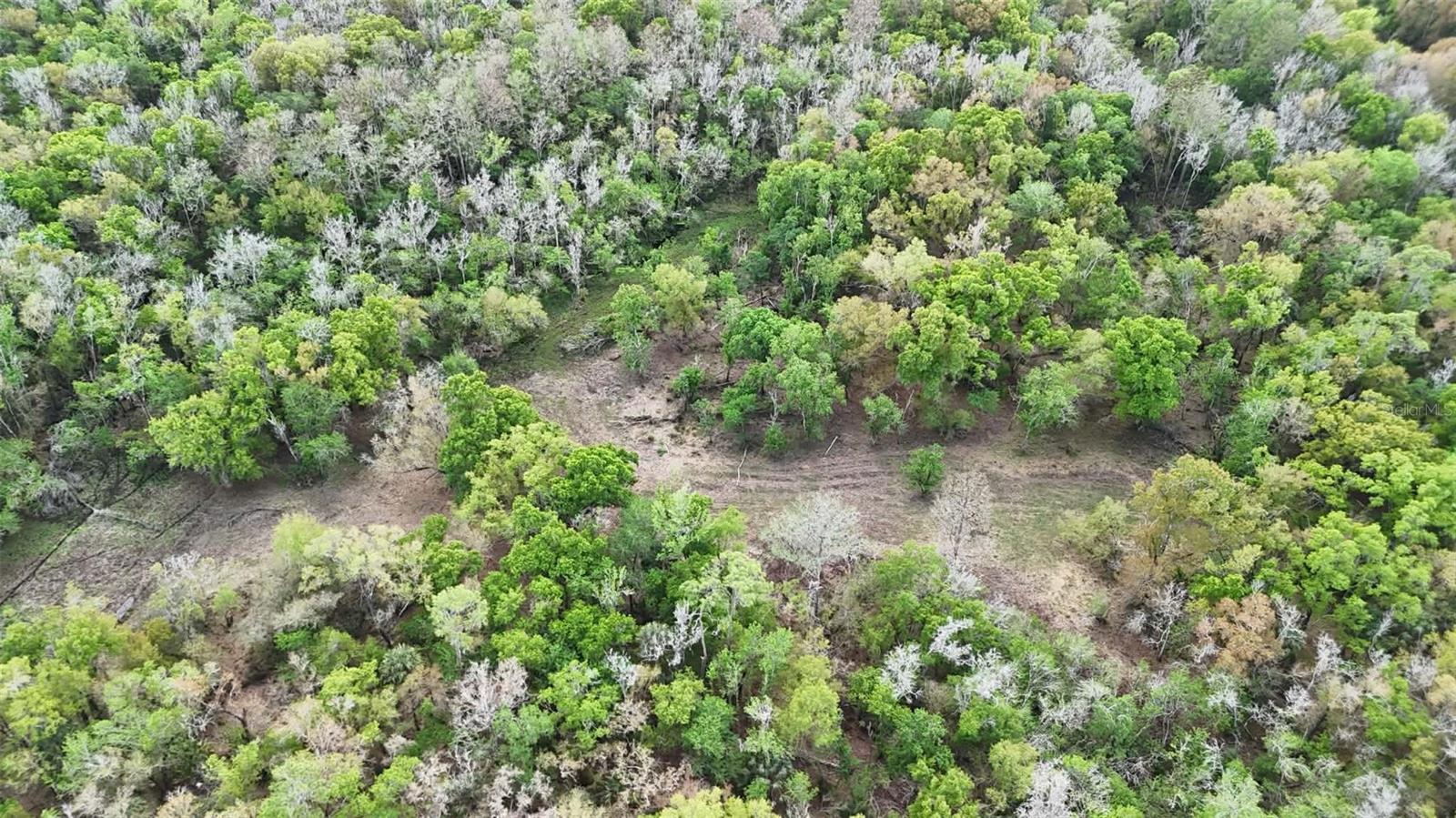 GILLETTE ROAD, Zolfo Springs, FL 33890