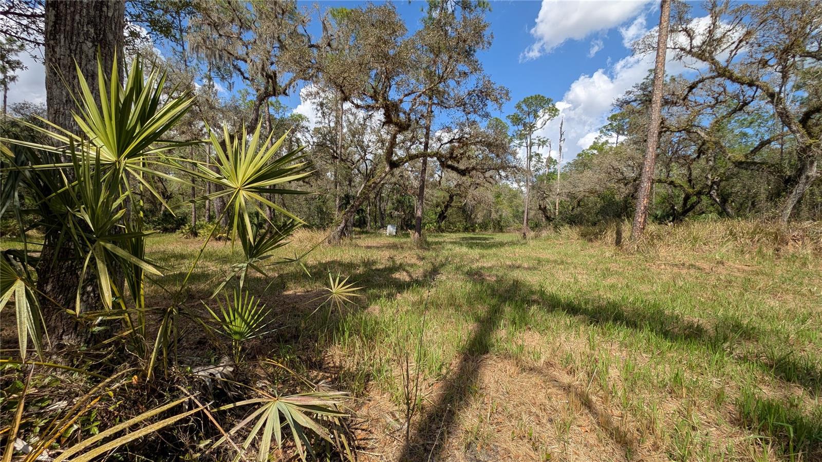 GILLETTE ROAD, Zolfo Springs, FL 33890