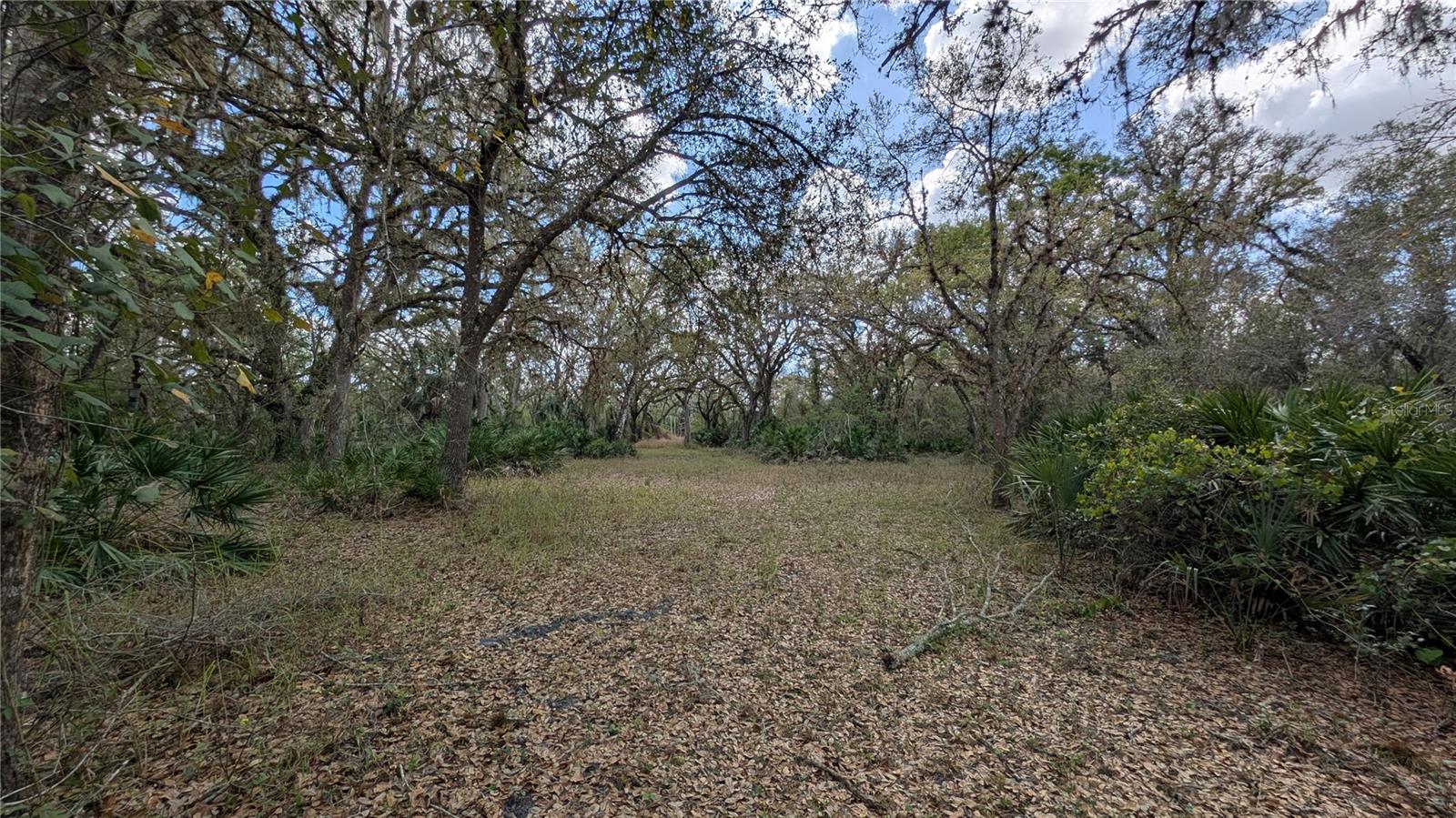 GILLETTE ROAD, Zolfo Springs, FL 33890