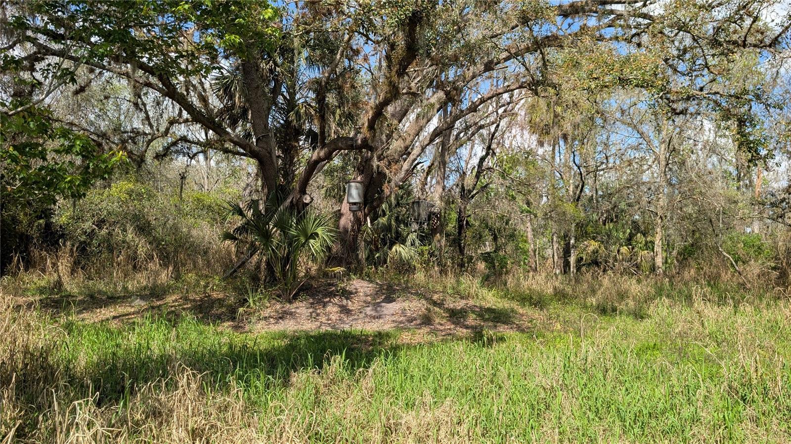 GILLETTE ROAD, Zolfo Springs, FL 33890