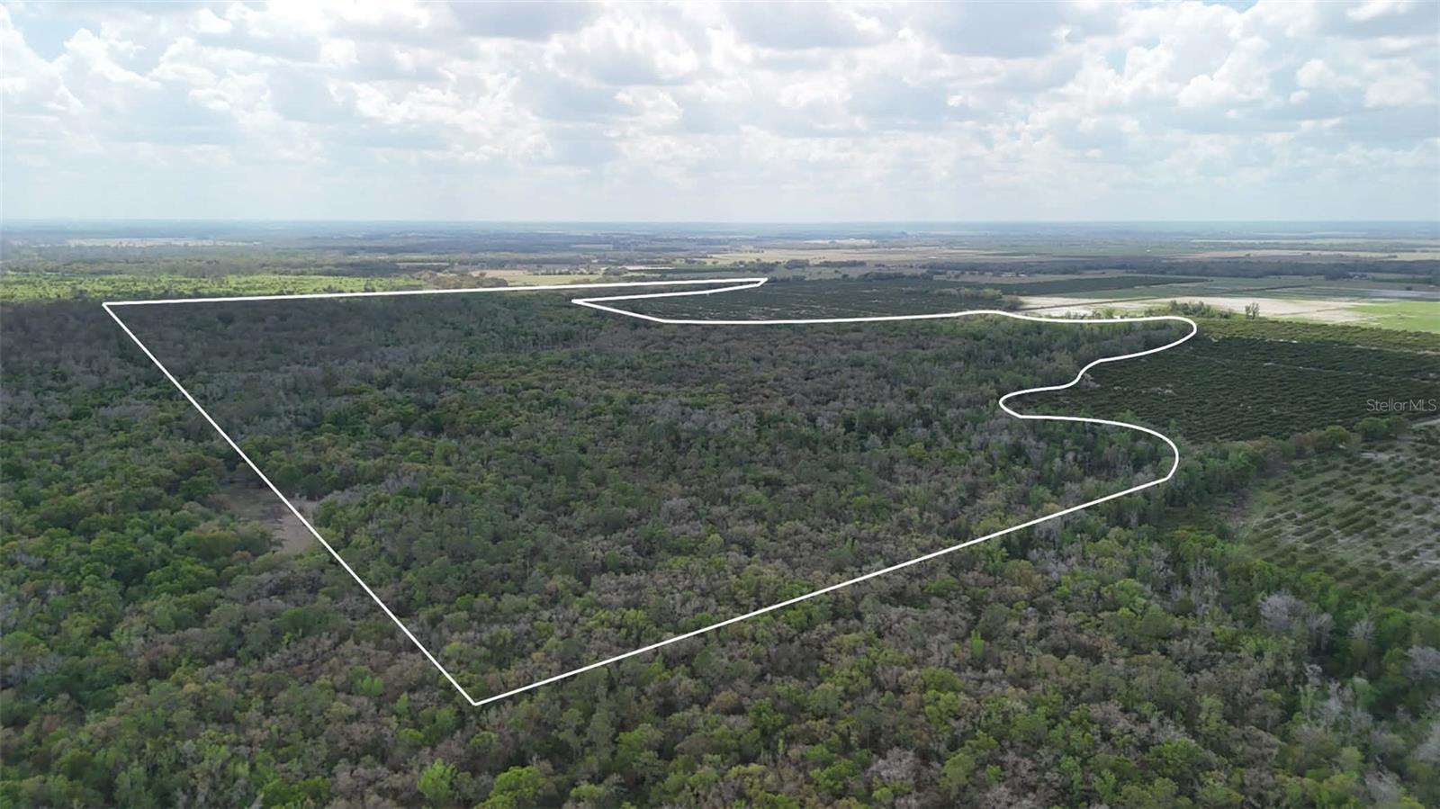 GILLETTE ROAD, Zolfo Springs, FL 33890