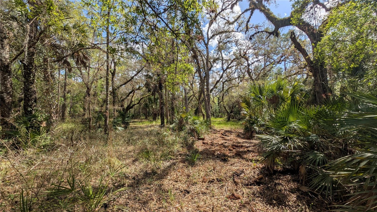 GILLETTE ROAD, Zolfo Springs, FL 33890