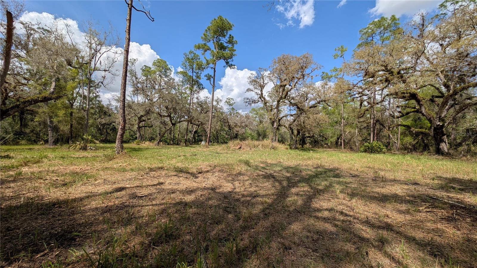 GILLETTE ROAD, Zolfo Springs, FL 33890