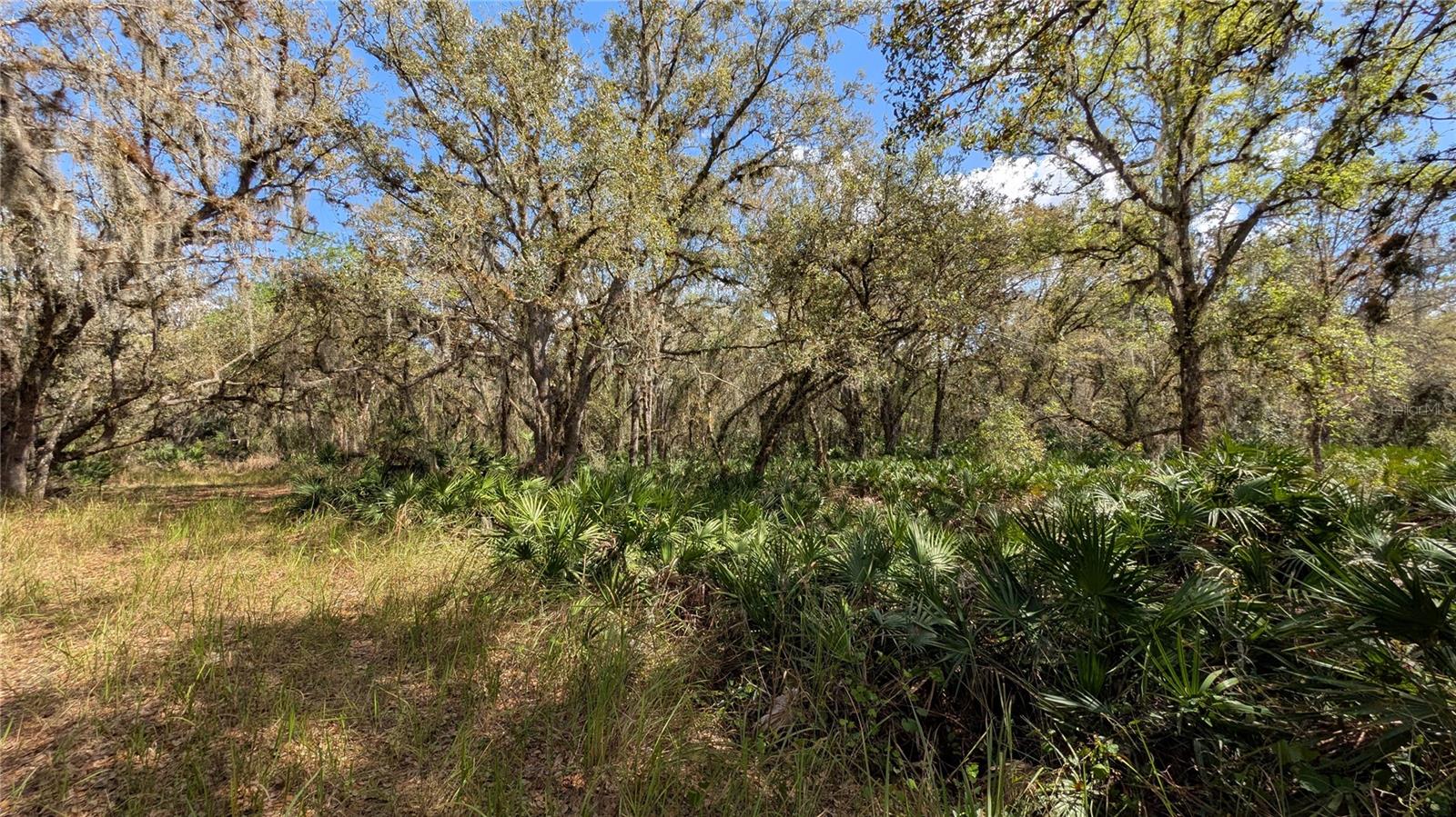 GILLETTE ROAD, Zolfo Springs, FL 33890