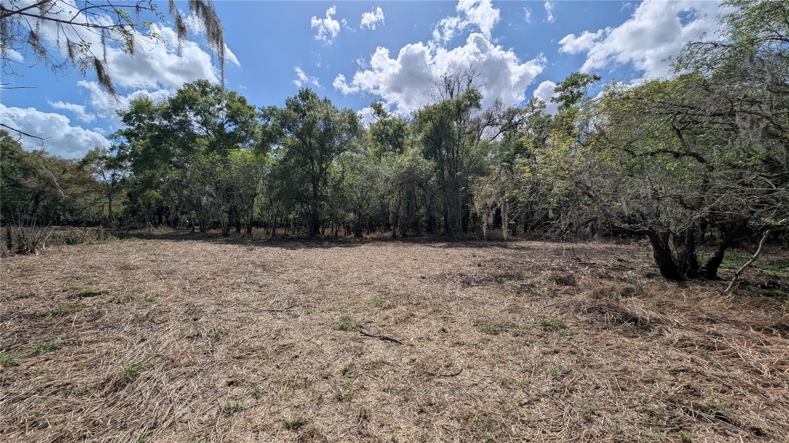 GILLETTE ROAD, Zolfo Springs, FL 33890