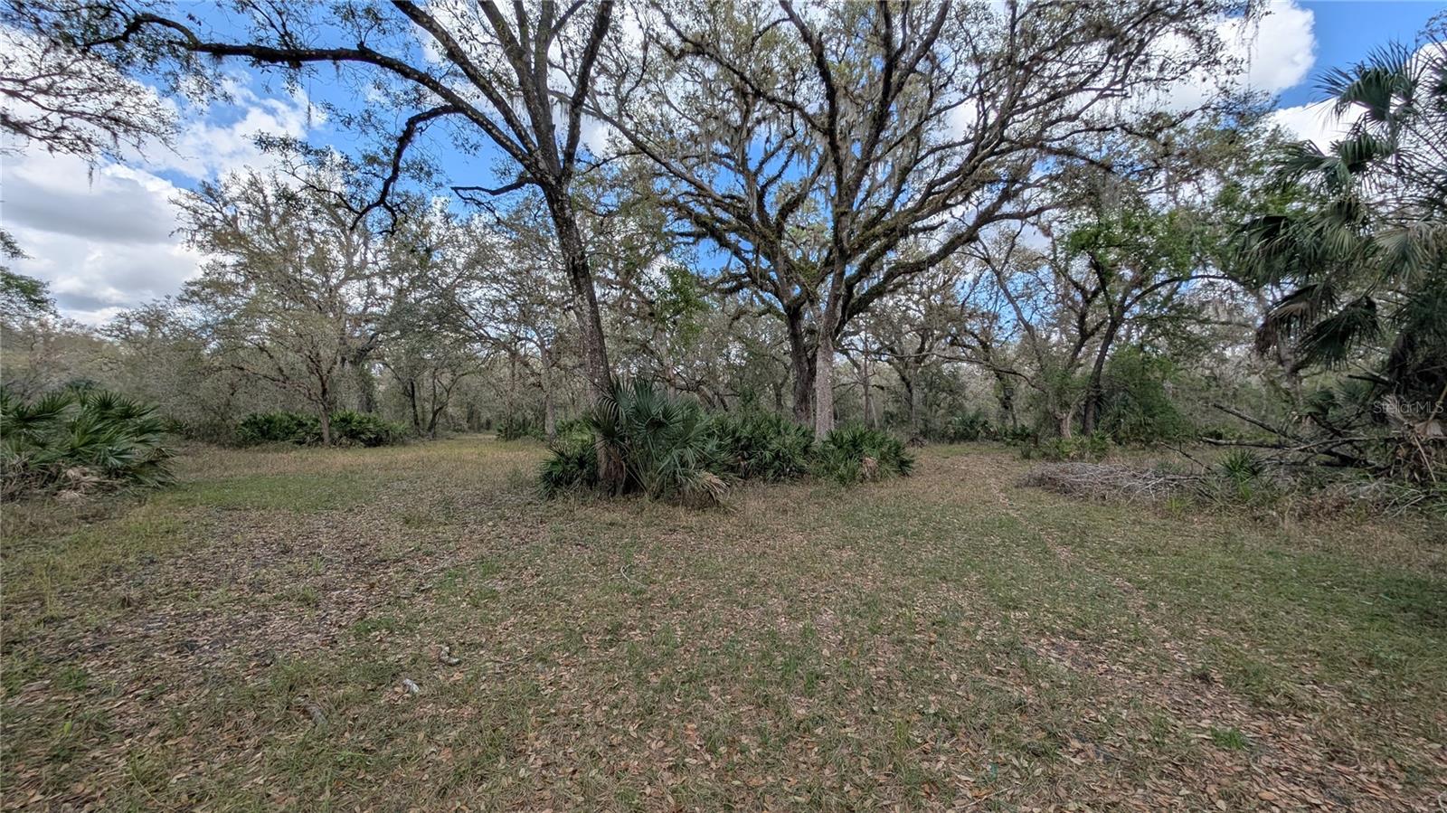 GILLETTE ROAD, Zolfo Springs, FL 33890