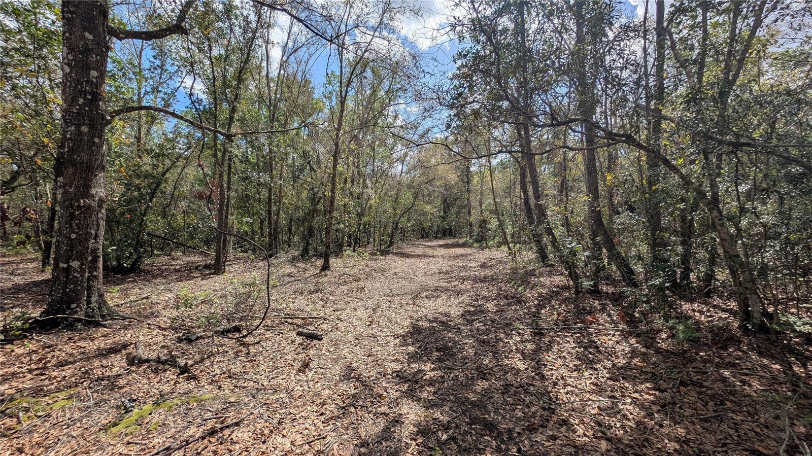 GILLETTE ROAD, Zolfo Springs, FL 33890
