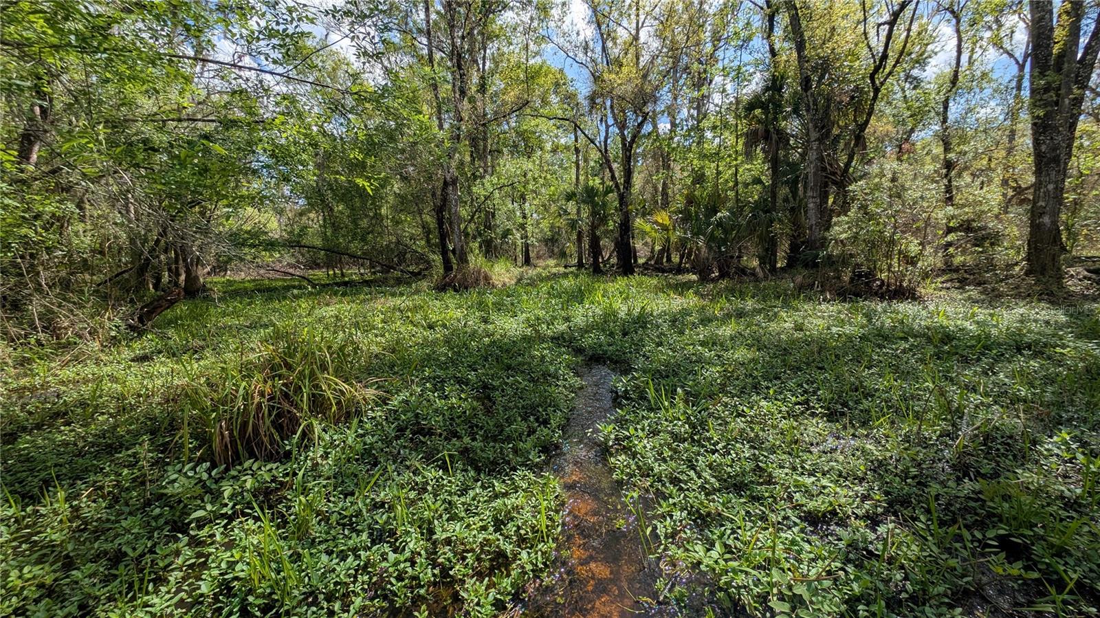 GILLETTE ROAD, Zolfo Springs, FL 33890