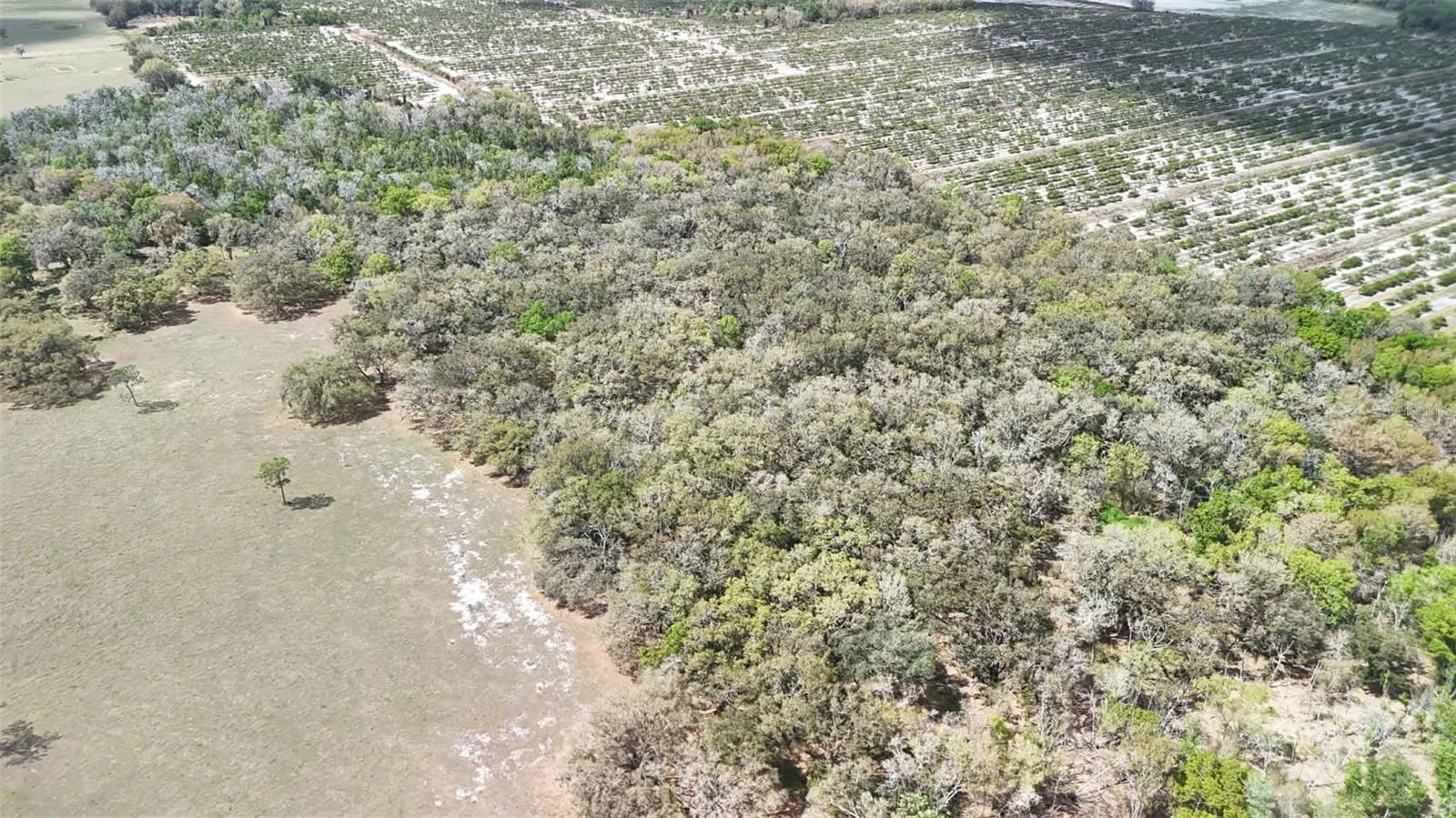 GILLETTE ROAD, Zolfo Springs, FL 33890
