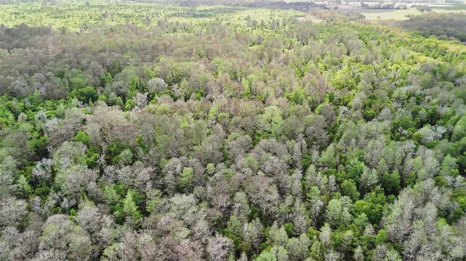 GILLETTE ROAD, Zolfo Springs, FL 33890