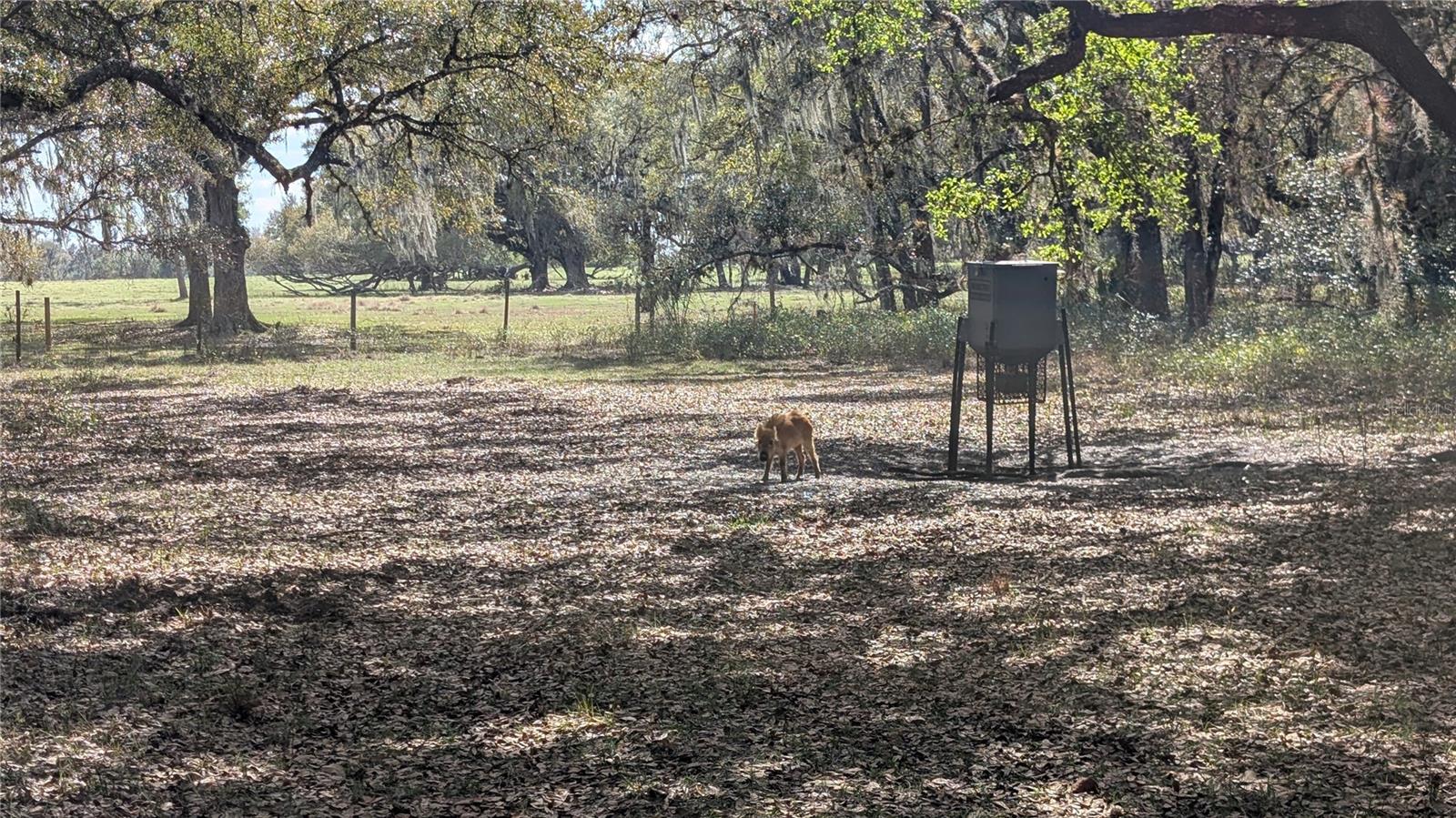 GILLETTE ROAD, Zolfo Springs, FL 33890