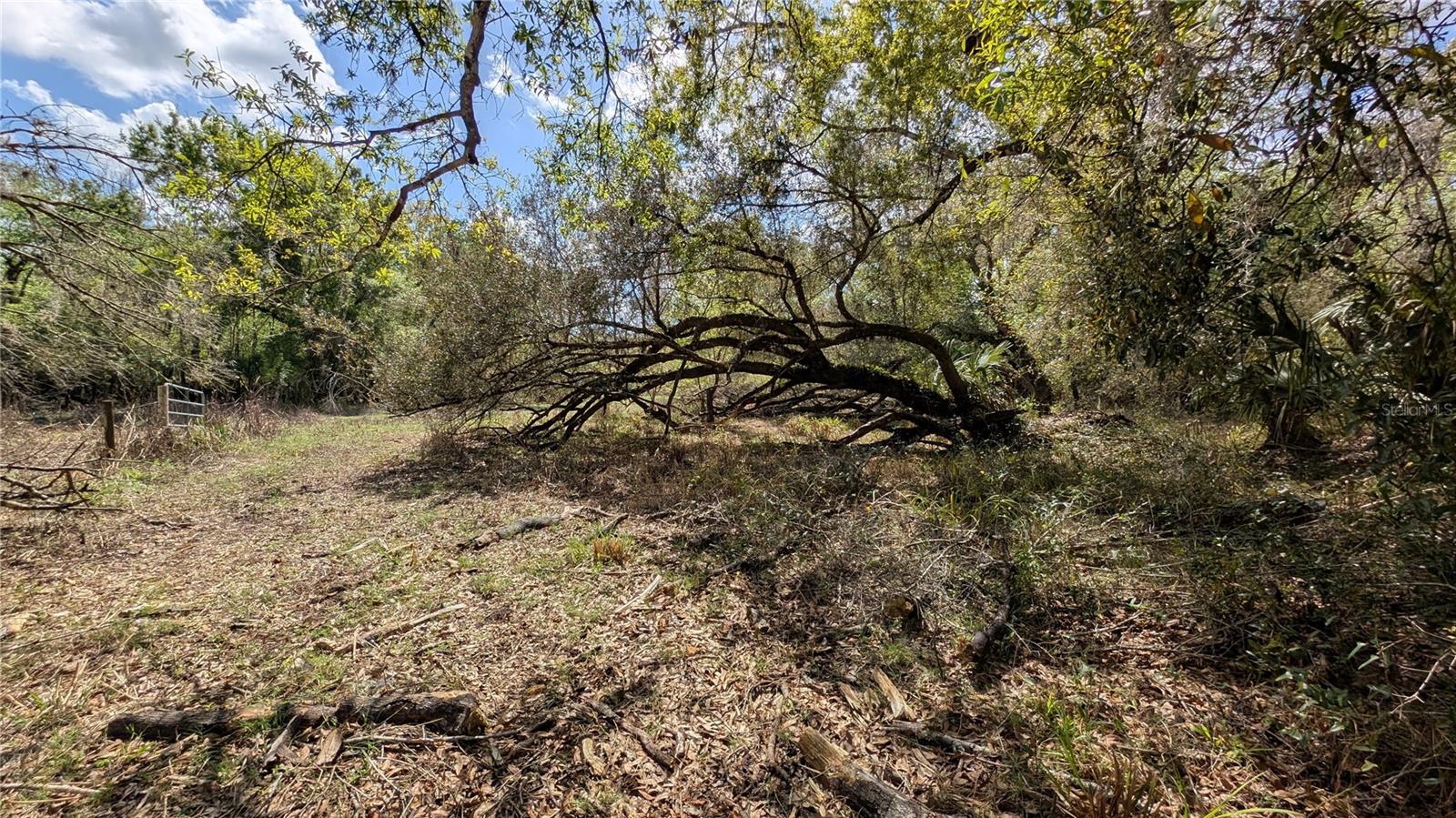 GILLETTE ROAD, Zolfo Springs, FL 33890