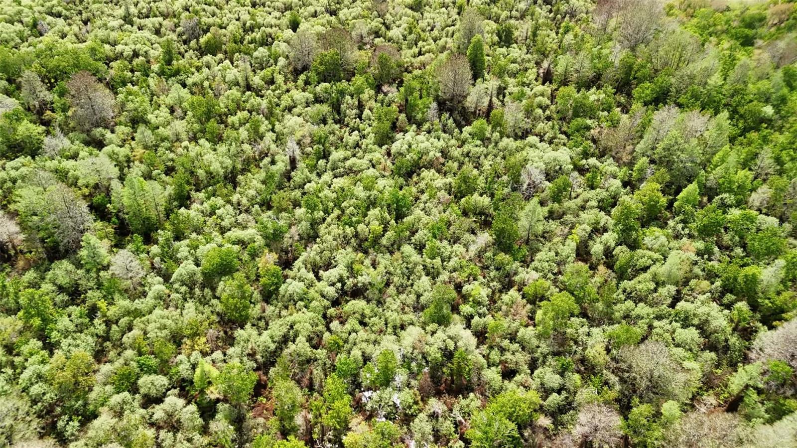 GILLETTE ROAD, Zolfo Springs, FL 33890