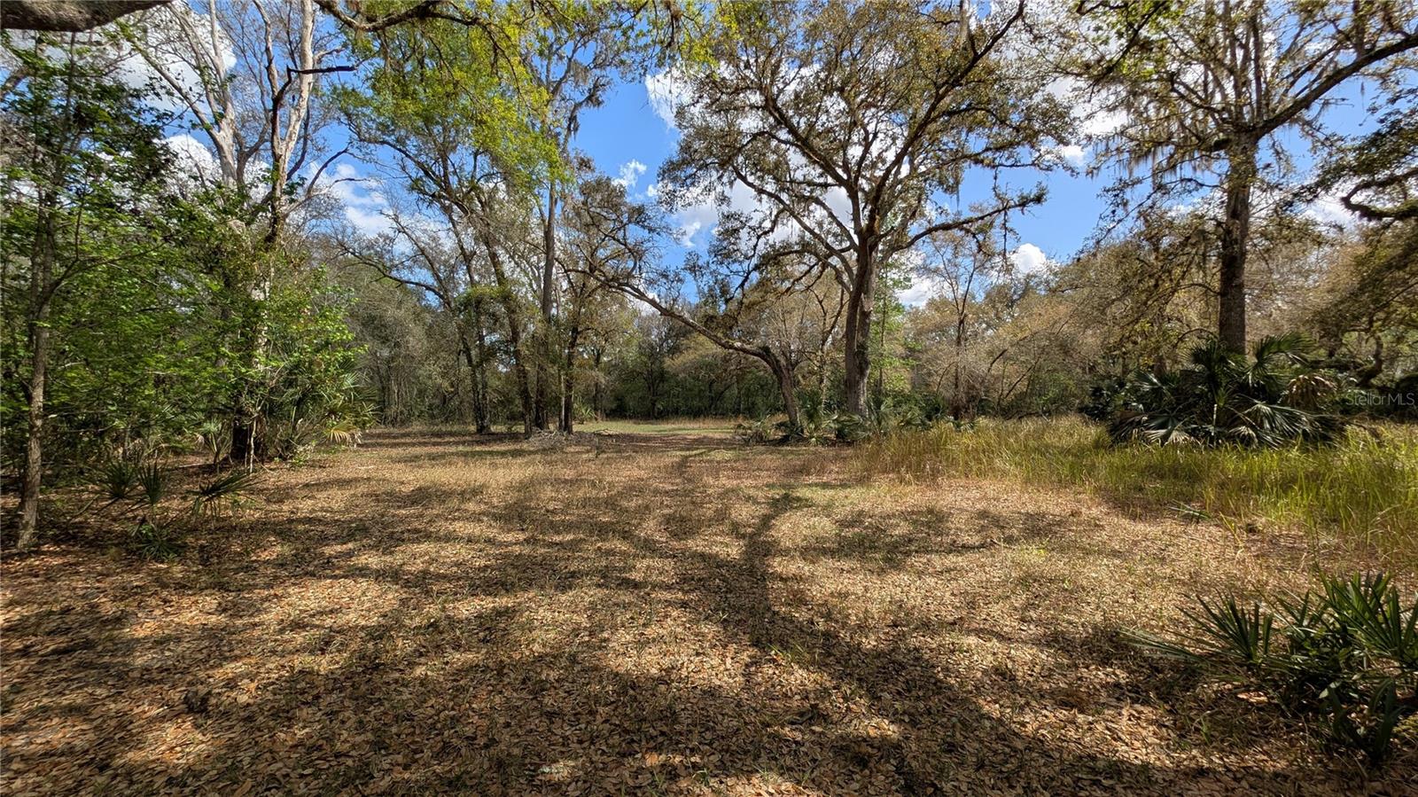 GILLETTE ROAD, Zolfo Springs, FL 33890