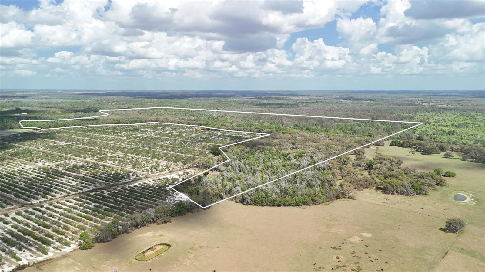 GILLETTE ROAD, Zolfo Springs, FL 33890