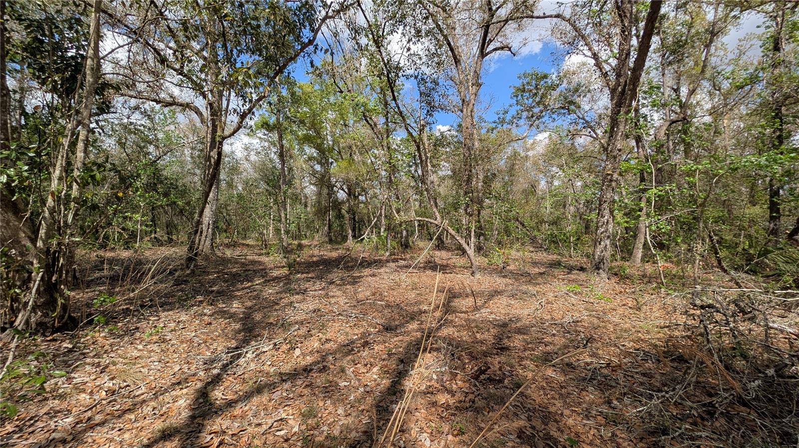 GILLETTE ROAD, Zolfo Springs, FL 33890