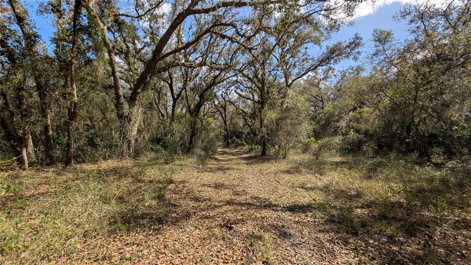 GILLETTE ROAD, Zolfo Springs, FL 33890