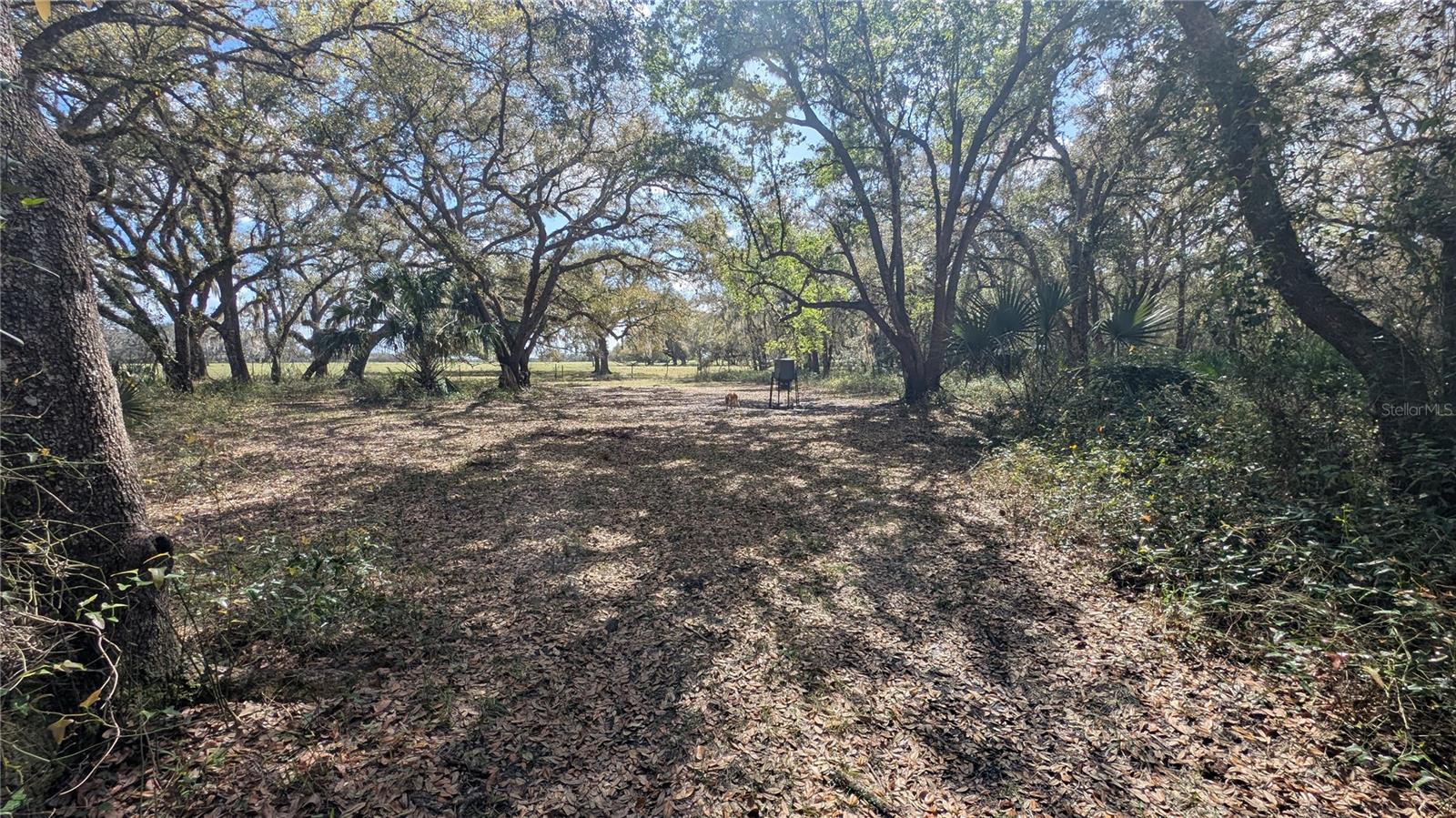 GILLETTE ROAD, Zolfo Springs, FL 33890