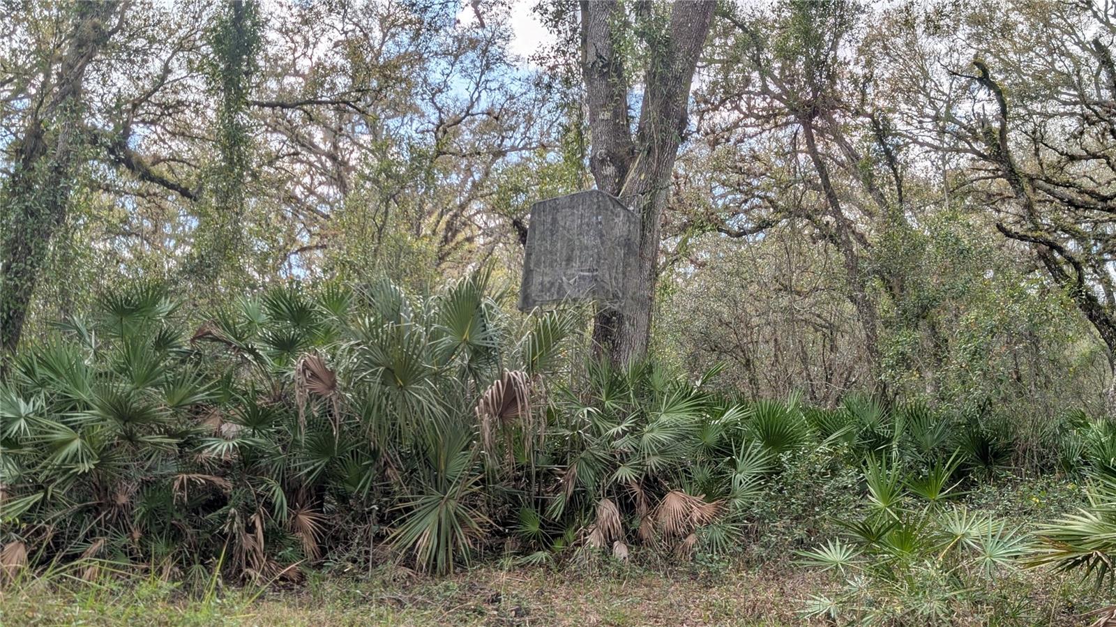 GILLETTE ROAD, Zolfo Springs, FL 33890
