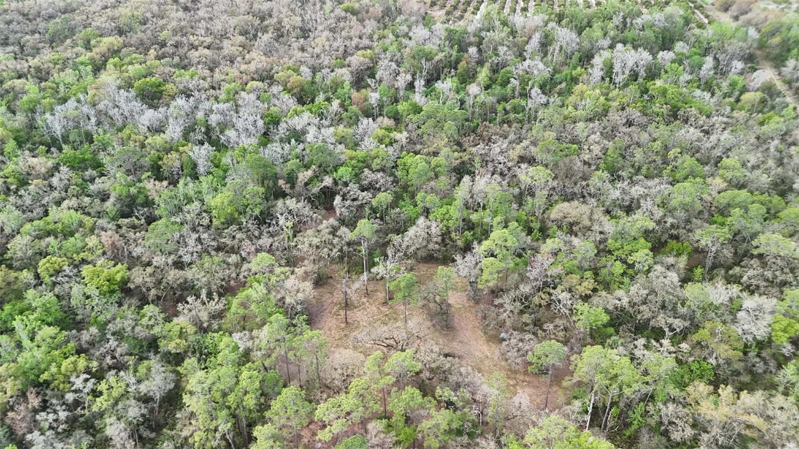 GILLETTE ROAD, Zolfo Springs, FL 33890