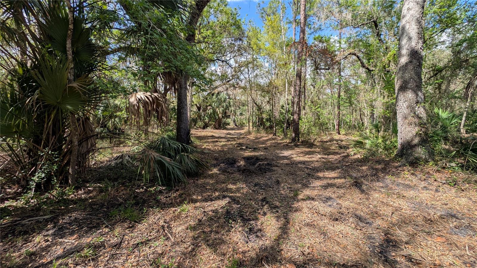 GILLETTE ROAD, Zolfo Springs, FL 33890