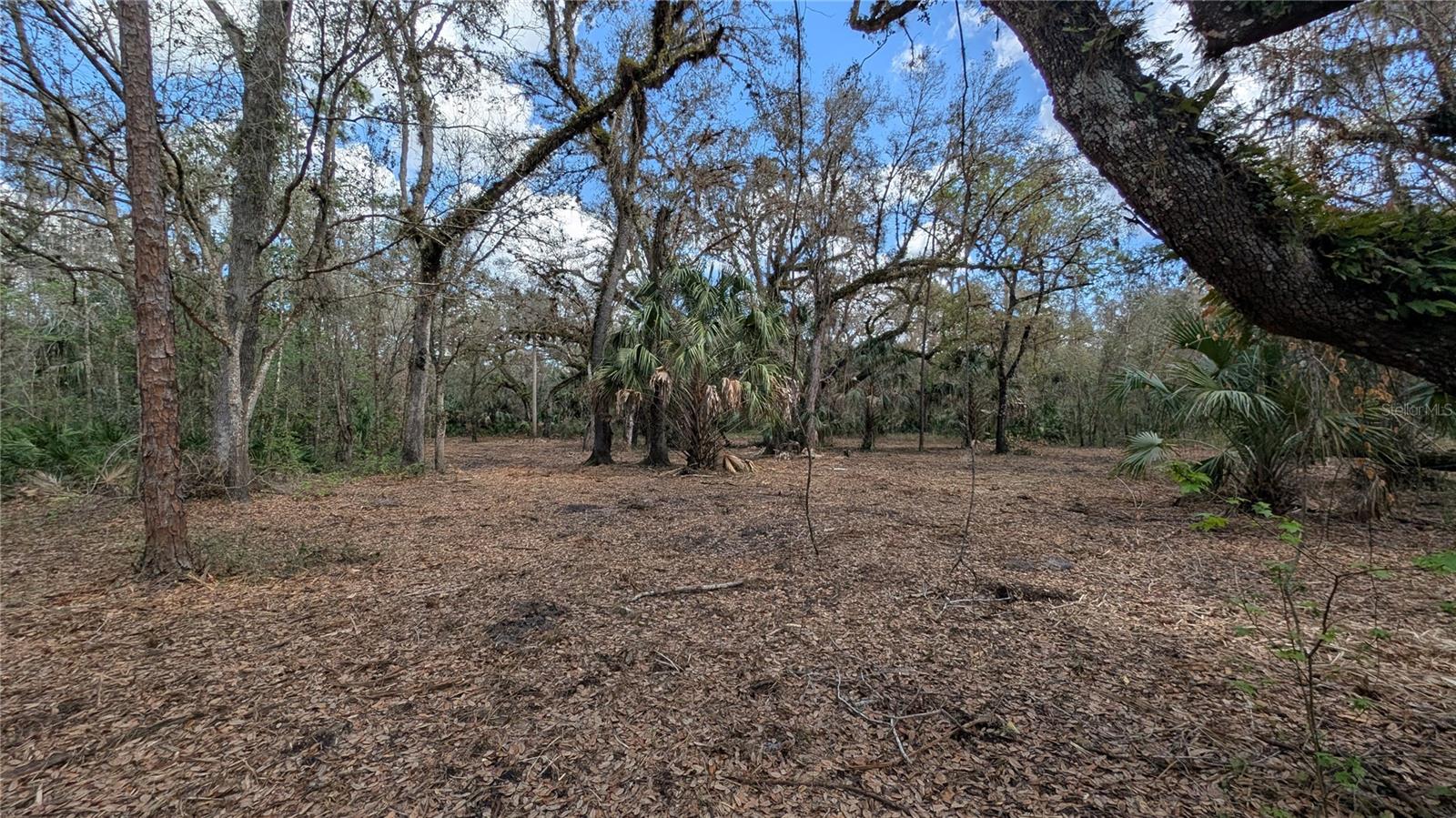 GILLETTE ROAD, Zolfo Springs, FL 33890