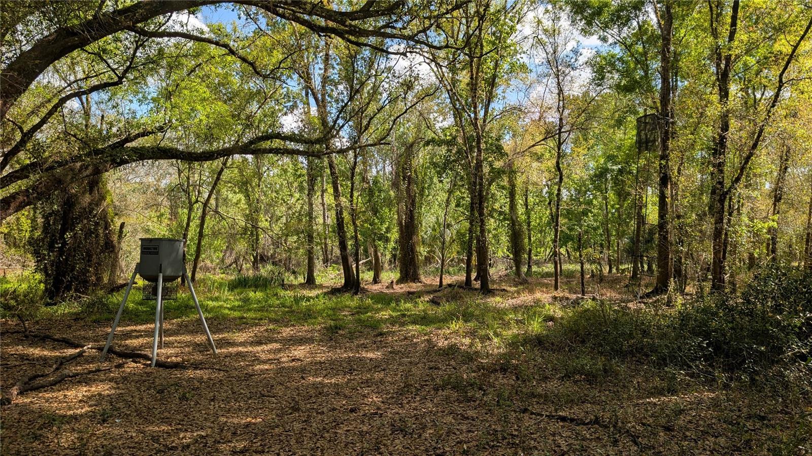 GILLETTE ROAD, Zolfo Springs, FL 33890