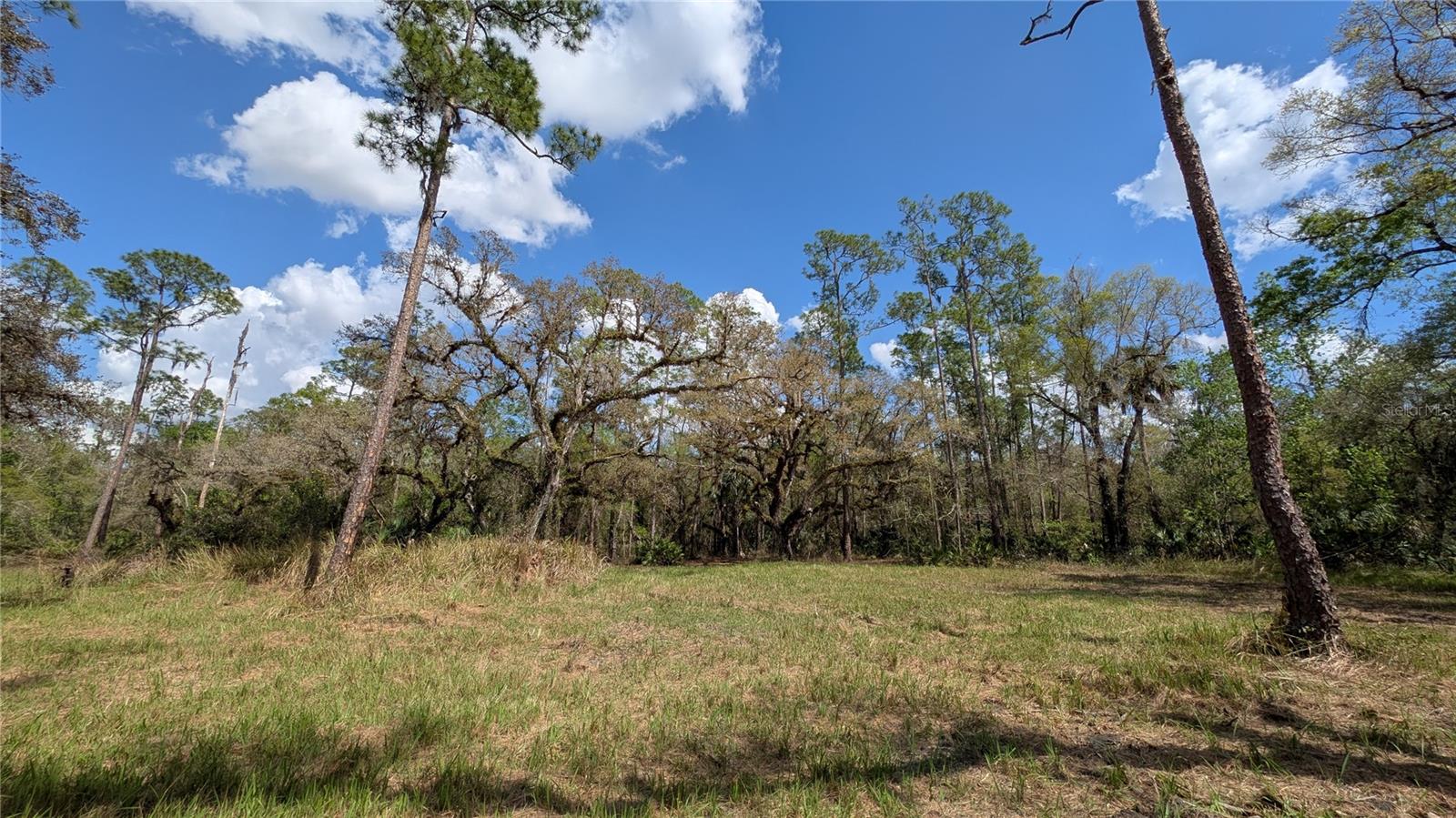 GILLETTE ROAD, Zolfo Springs, FL 33890