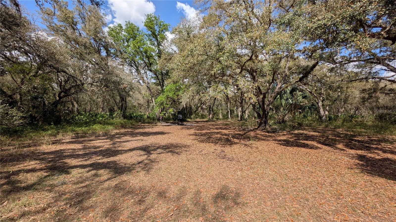 GILLETTE ROAD, Zolfo Springs, FL 33890