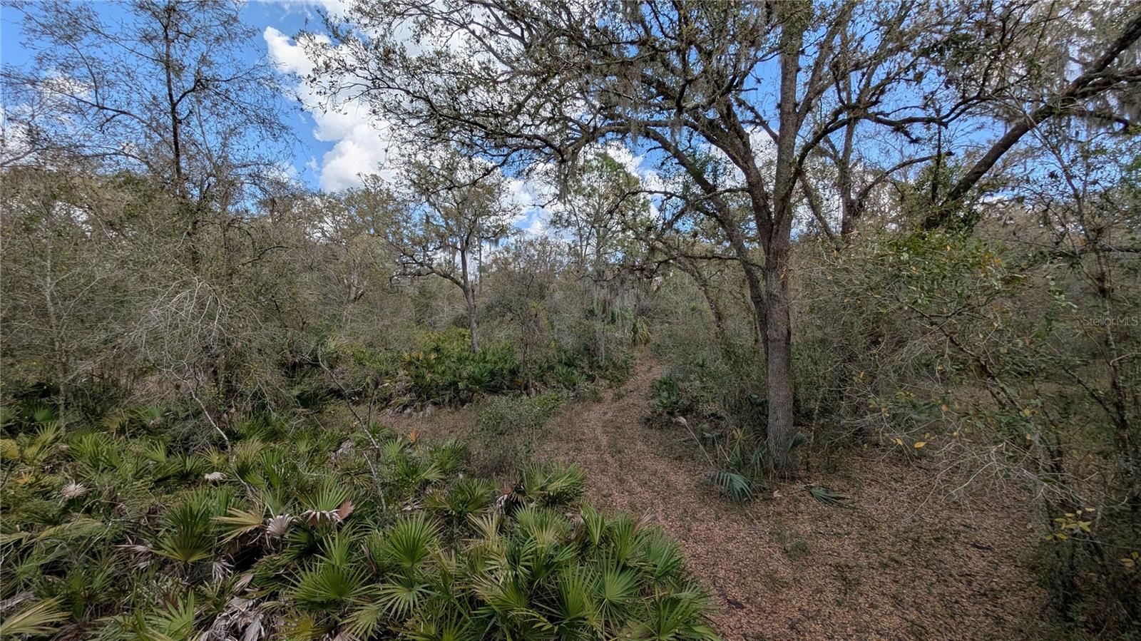 GILLETTE ROAD, Zolfo Springs, FL 33890