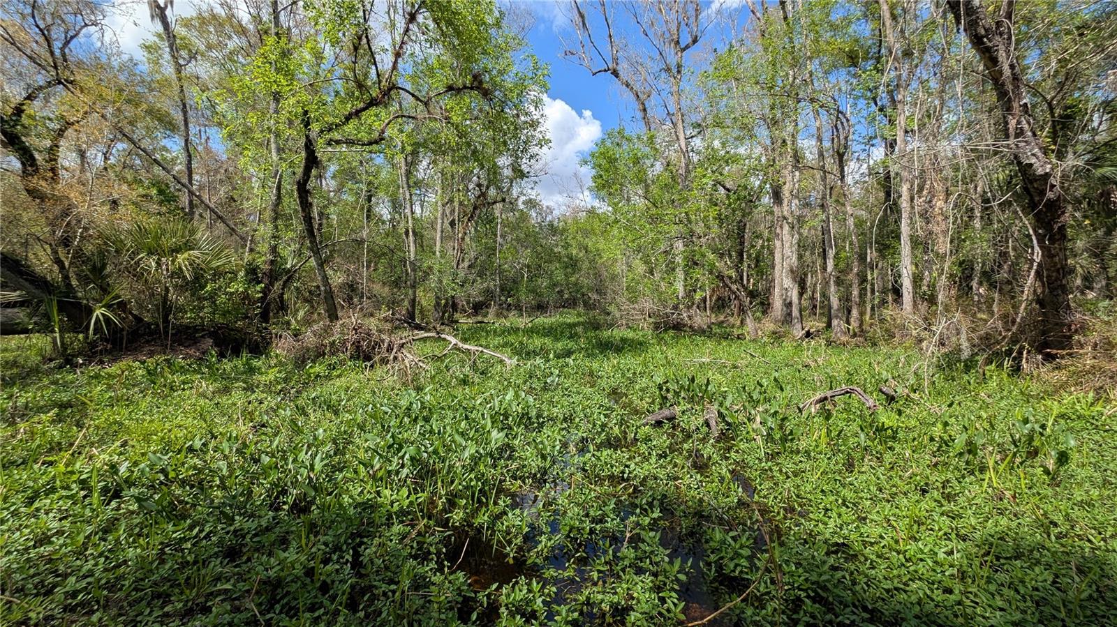 GILLETTE ROAD, Zolfo Springs, FL 33890