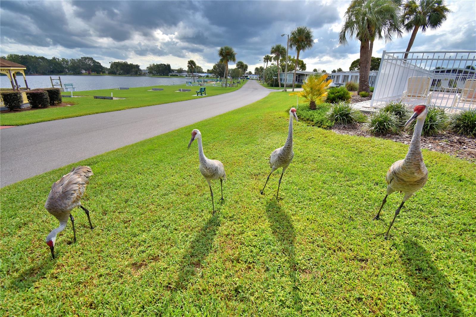 4235 CEDARWOOD STREET, Winter Haven, FL 33880