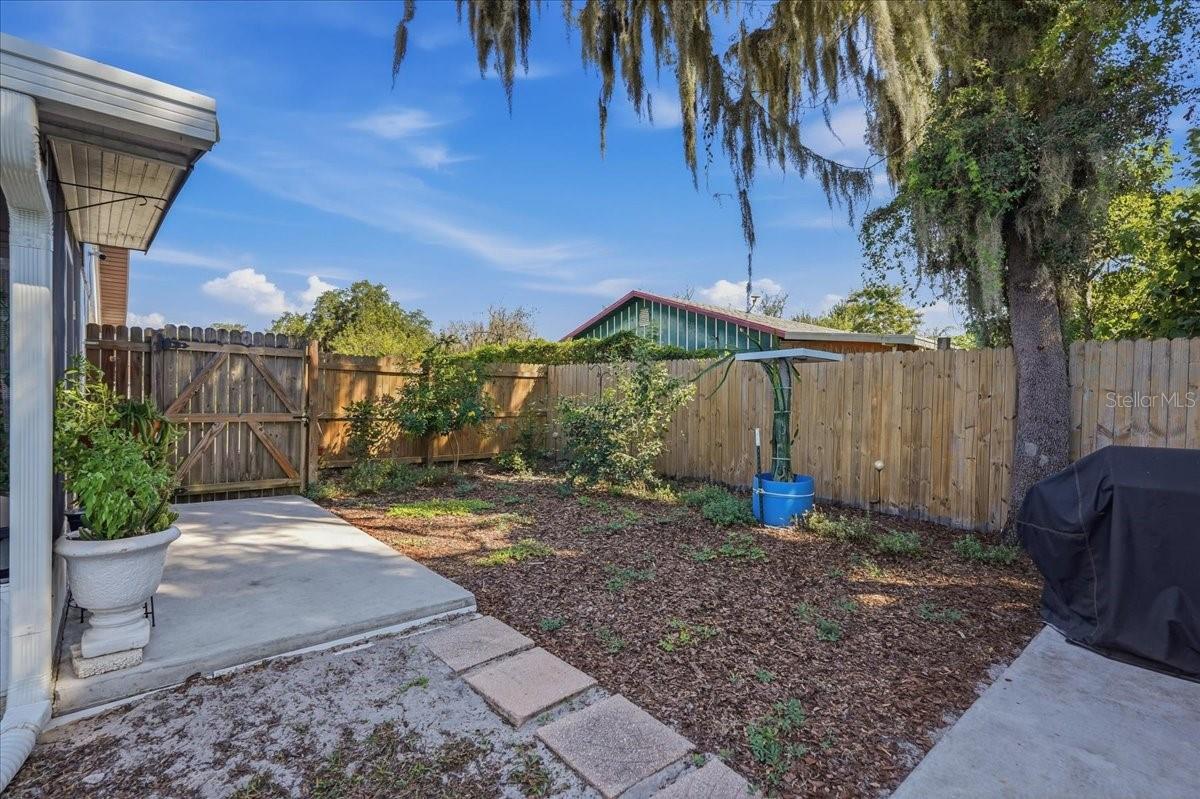 Backyard