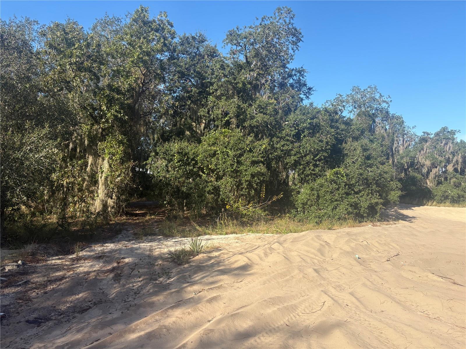 0 JENNY DRIVE, Lake Wales, FL 33898