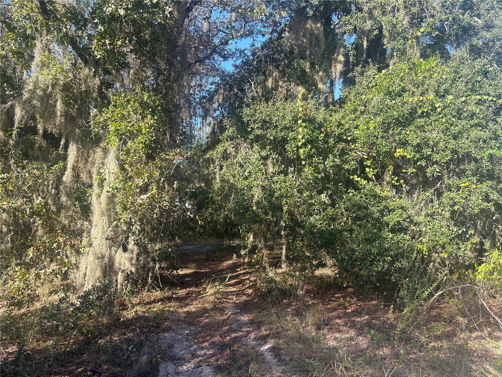 0 JENNY DRIVE, Lake Wales, FL 33898