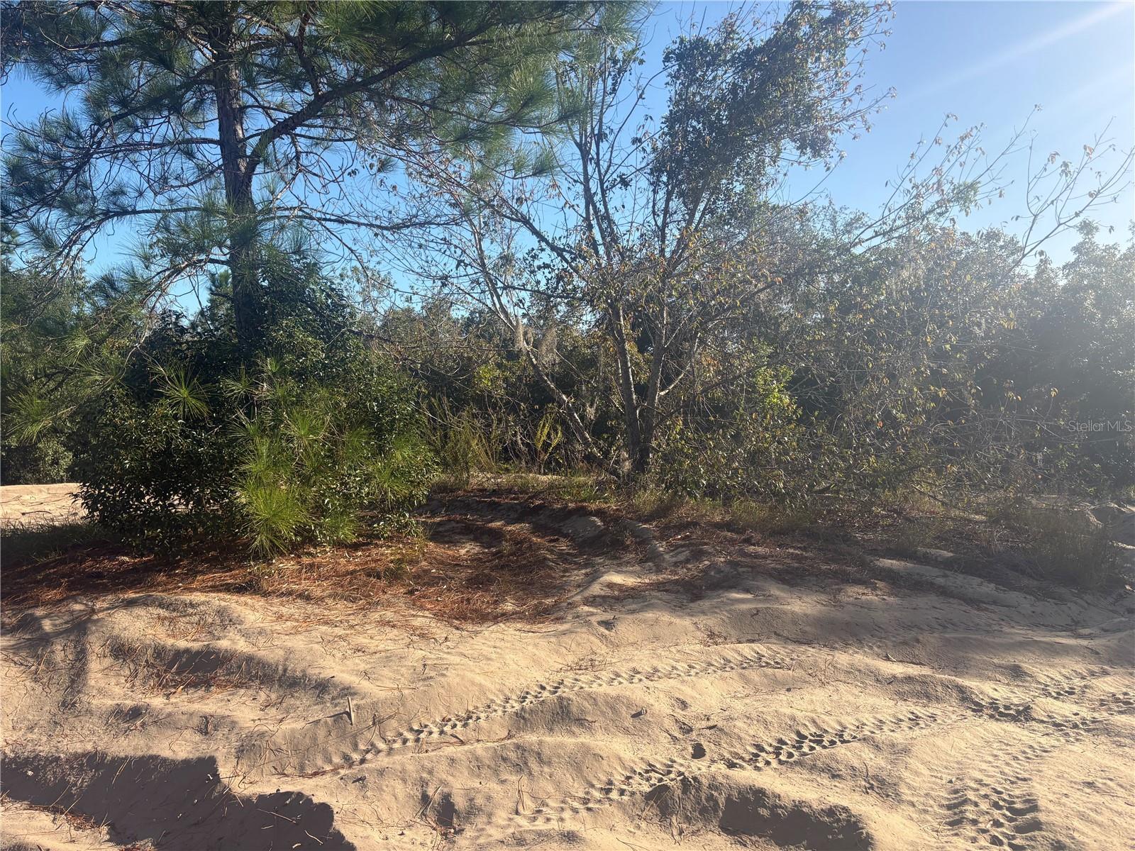 0 JENNY DRIVE, Lake Wales, FL 33898