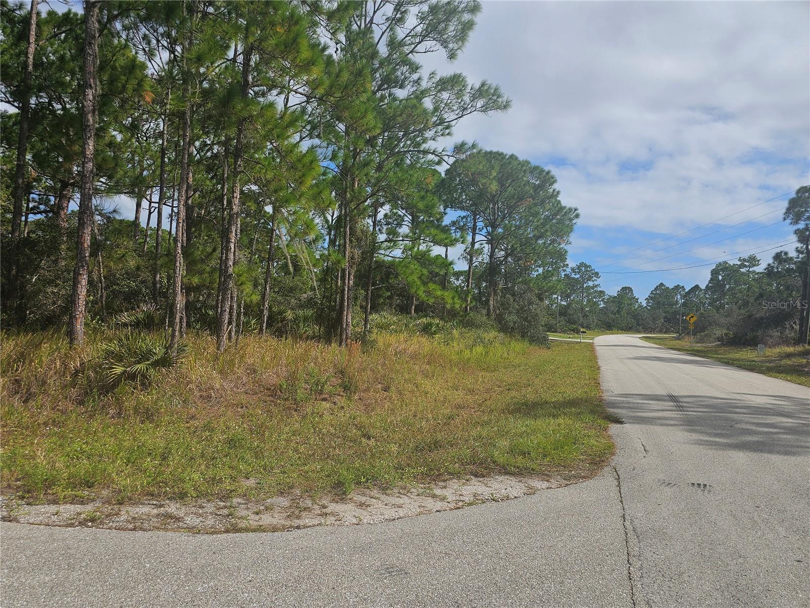 Secluded wooded lots for sale, check it out!