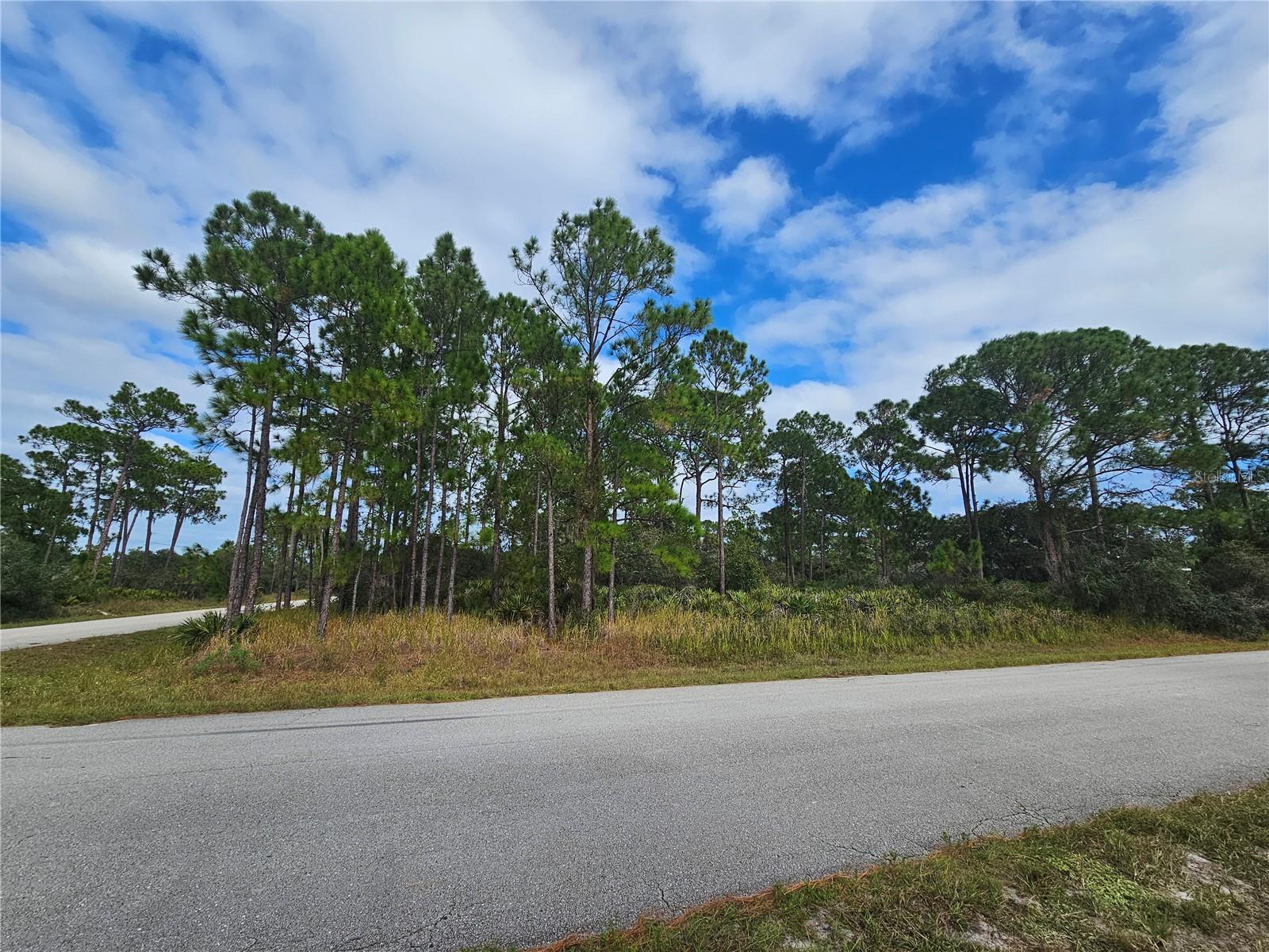 Imagine your new home here, beautiful wooded setting!