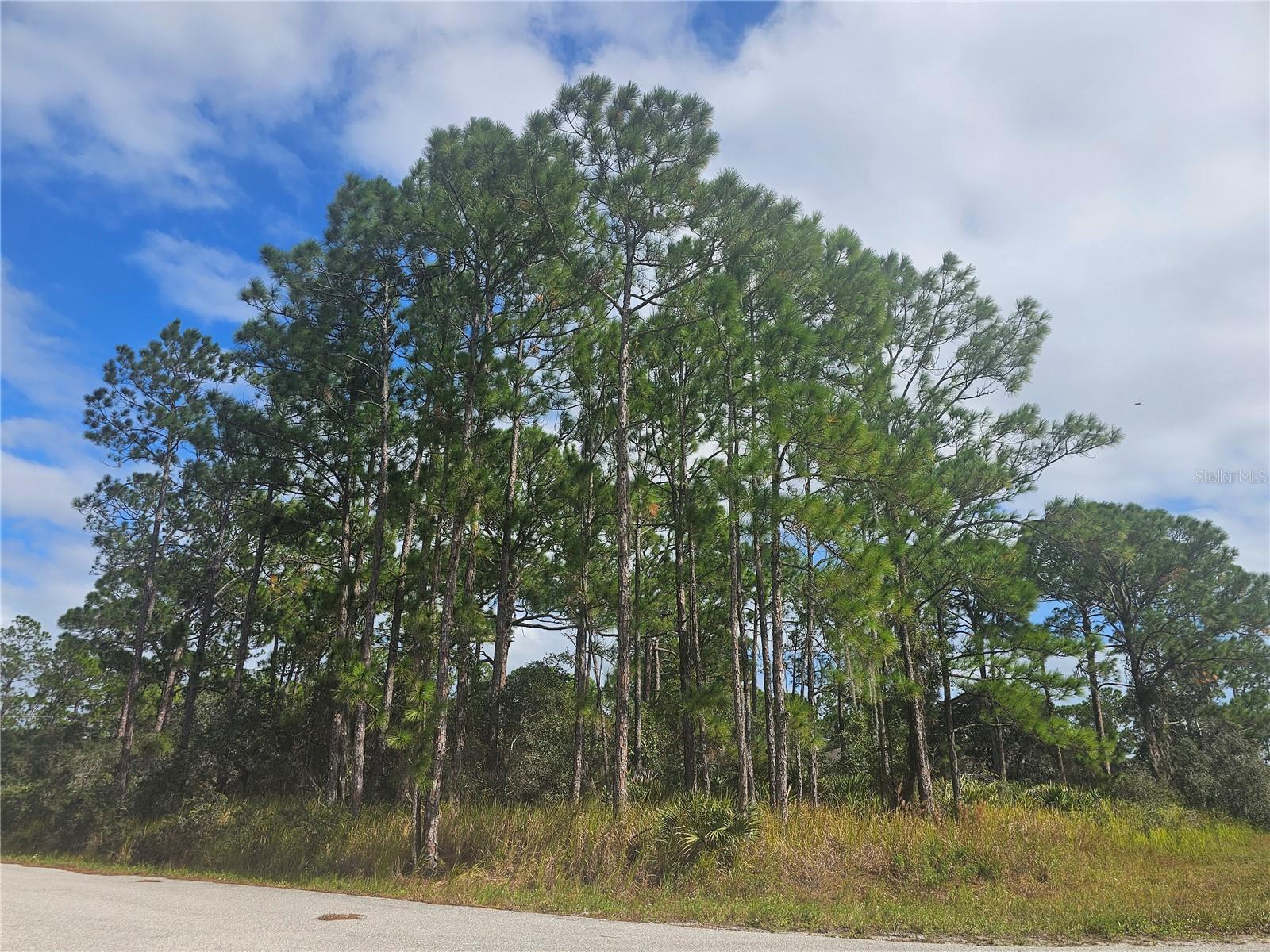 Vacant corner double lot for sale in Leisure Lakes.