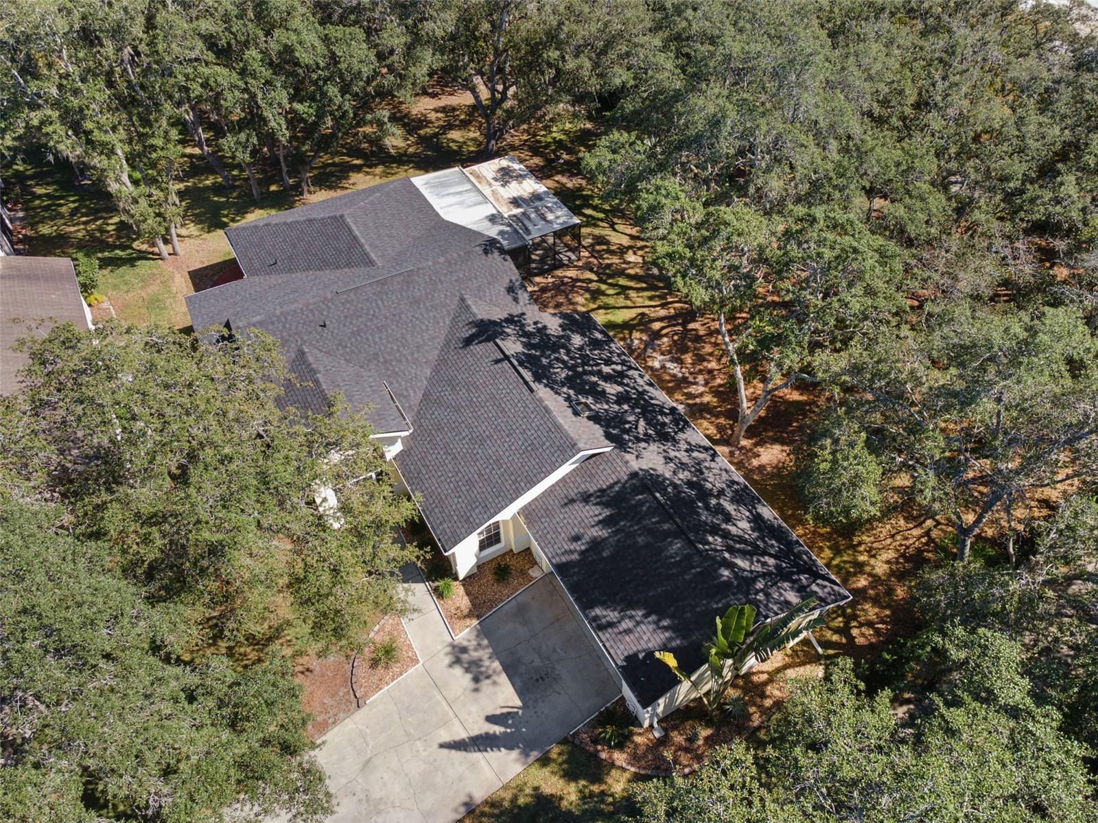 Peaceful Wooded Views