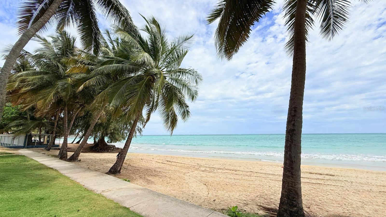 37 ISLA VERDE AVE., #203, Carolina, PR 00979