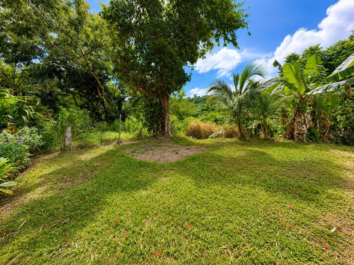 KM 4.3 Int. PR-900, Yabucoa, PR 00767