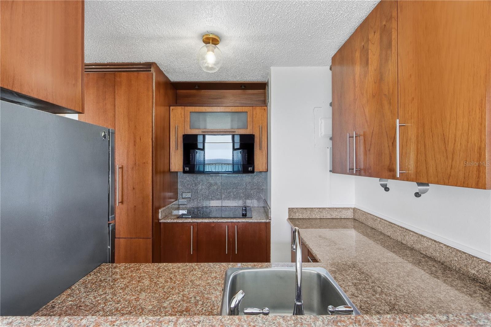 1035 ASHFORD AVENUE, #505, San Juan, PR 00907