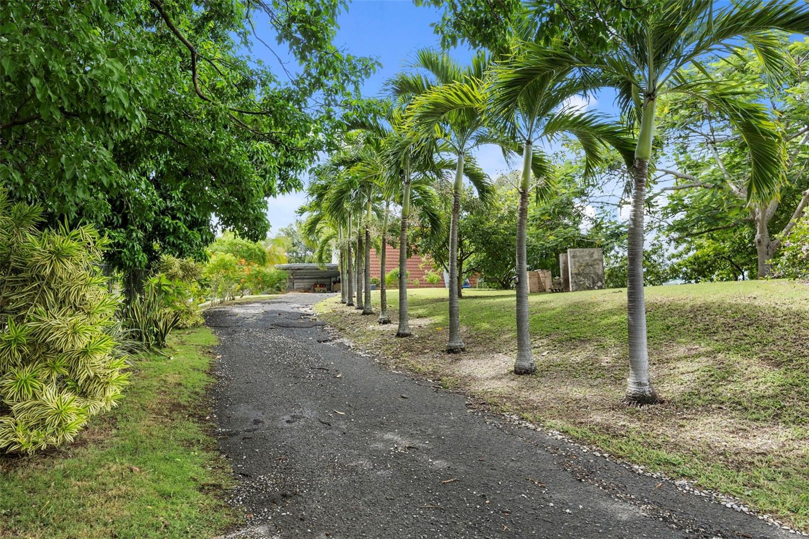 PR-102, KM. 16.0 SANTA CECILIA, Cabo Rojo, PR 00623 PR-102, KM. 16.0 SANTA CECILIA, Cabo Rojo, PR 00623