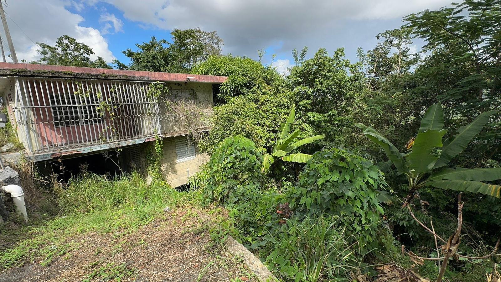 PR. 813 Km 2.1 BO. NUEVO, Naranjito, PR 00719