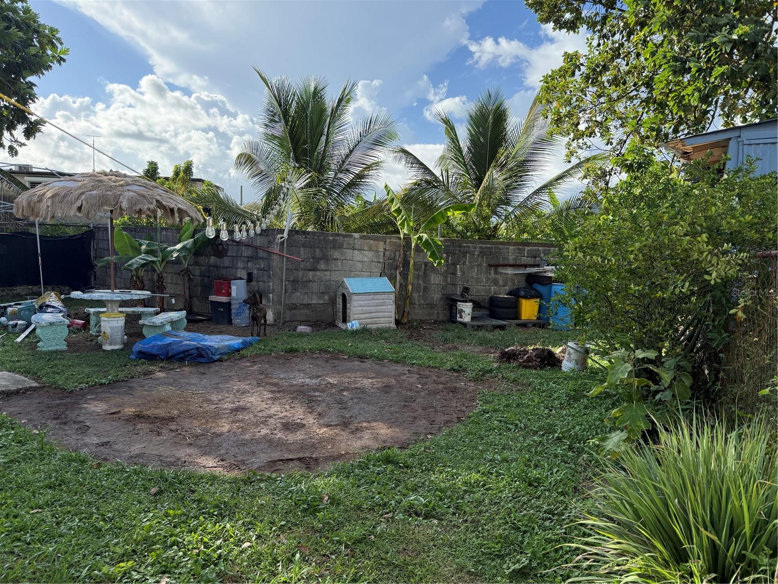 Yabucoa, PR 00767