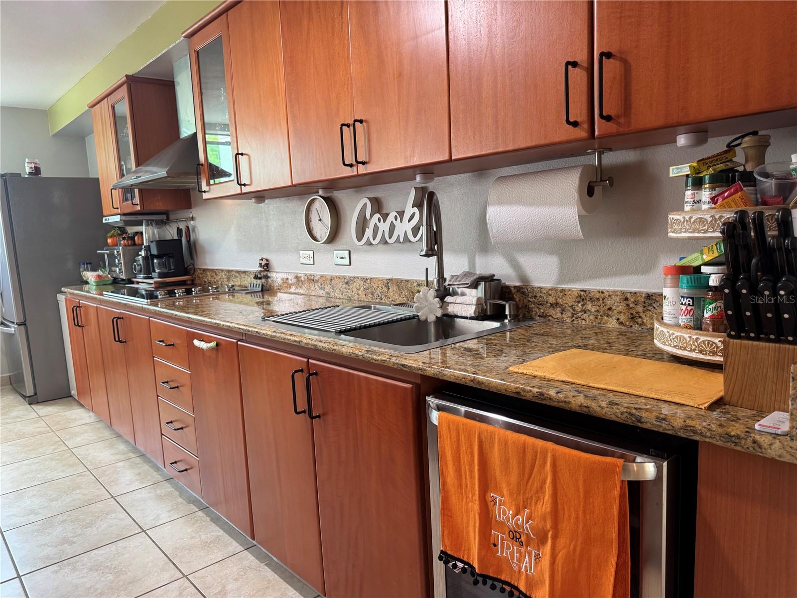 1512 Cond. Buena Vista 450 CARR#844, #1512, San Juan, PR 00926