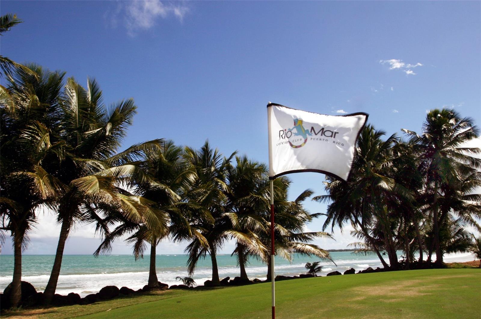 Golf course