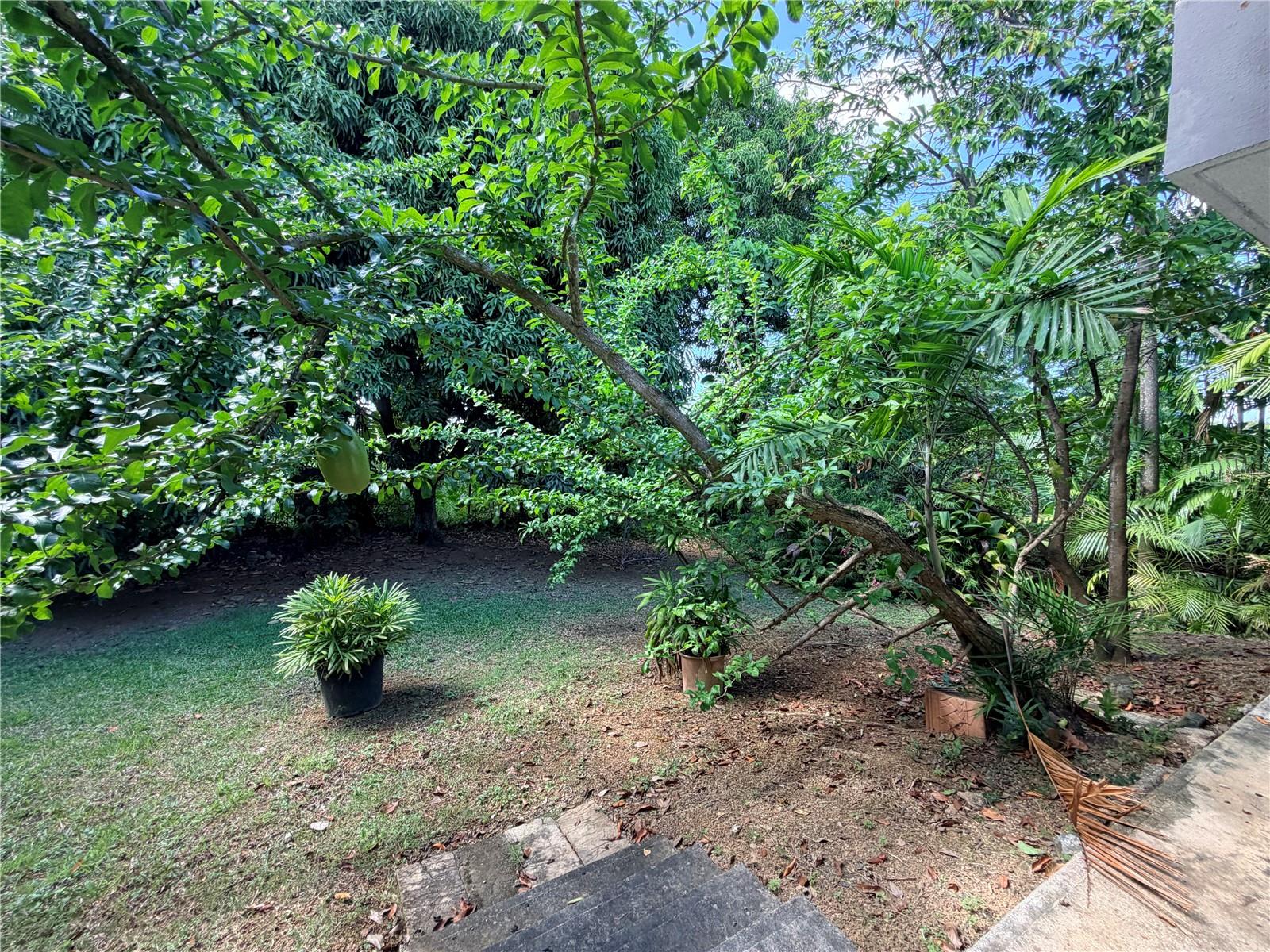 Sauco SANTA MARÍA, #1916, San Juan, PR 00921